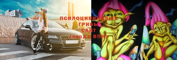 СК Володарск