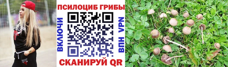 Галлюциногенные грибы прущие грибы  Вяземский 